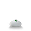 Saxi - medium - White / Green